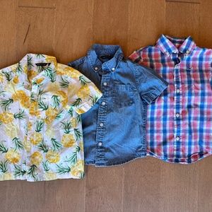 Boys collared shirt bundle size 2T